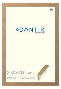 DANTIK rám na obraz 20x30 | KASSETTE dub malá (Sklo Čiré)