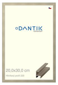 DANTIK rám na obraz 20x30 | ALU champagne (Sklo Čiré)