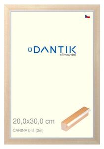 DANTIK rám na obraz 20x30 | CARINA Bílá (Sklo Čiré)