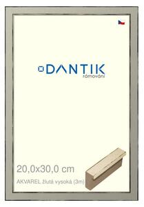 DANTIK rám na obraz 20x30 | AKVAREL žlutá vysoká (Sklo Čiré)