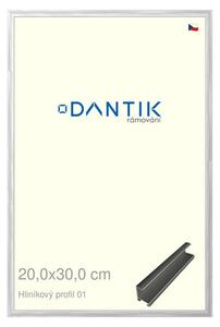 DANTIK rám na obraz 20x30 | ALU Stříbrná lesklá (Sklo Čiré)