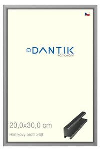 DANTIK rám na obraz 20x30 | ALU Šedá leská (Sklo Čiré)