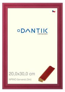 DANTIK rám na obraz 20x30 | NPINO červená (Sklo Čiré)