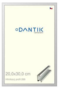 DANTIK rám na obraz 20x30 | ALU Stříbrná matná (Sklo Čiré)
