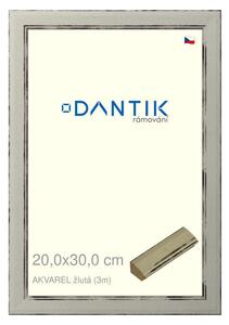 DANTIK rám na obraz 20x30 | AKVAREL žlutá (Sklo Čiré)