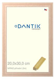 DANTIK rám na obraz 20x30 | NPINO přírodní (Sklo Čiré)