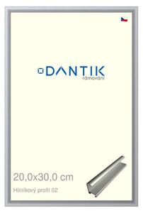 DANTIK rám na obraz 20x30 | ALU Stříbrná matná (Sklo Čiré)