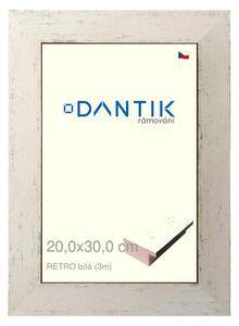 DANTIK rám na obraz 20x30 | RETRO bílá (Sklo Čiré)