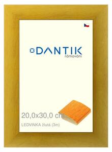 DANTIK rám na obraz 20x30 | LEDVINKA žlutá (Sklo Čiré)