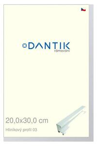 DANTIK rám na obraz 20x30 | ALU Bílá matná (Sklo Čiré)