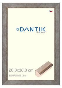 DANTIK rám na obraz 20x30 | TOMAS bílá (Sklo Čiré)