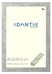 DANTIK rám na obraz 20x30 | PAINT zelená malá (Sklo Čiré)