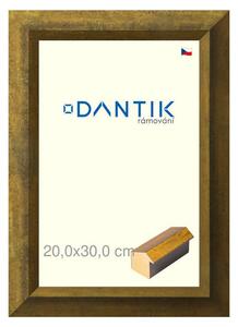 DANTIK rám na obraz 20x30 | Forgia Gold (Sklo Čiré)