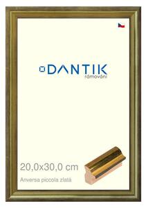 DANTIK rám na obraz 20x30 | ANIVERSA piccola zlatá (Sklo Čiré)
