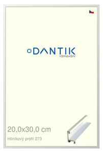 DANTIK rám na obraz 20x30 | ALU Bílá matná (Sklo Čiré)
