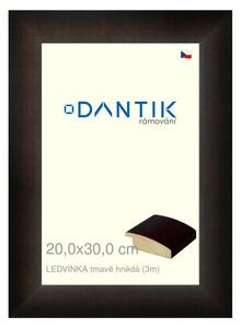 DANTIK rám na obraz 20x30 | LEDVINKA tmavě hnědá (Sklo Čiré)