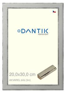 DANTIK rám na obraz 20x30 | AKVAREL Bílá (Sklo Čiré)