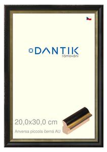 DANTIK rám na obraz 20x30 | ANIVERSA piccola černá AU (Sklo Čiré)