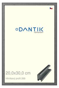DANTIK rám na obraz 20x30 | ALU Ššedá broušená (Sklo Čiré)