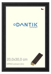 DANTIK rám na obraz 20x30 | NPINO antracit (Sklo Čiré)
