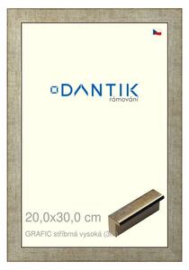 DANTIK rám na obraz 20x30 | GRAFIC stříbrná vysoká (Sklo Čiré)