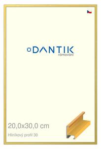 DANTIK rám na obraz 20x30 | ALU Dýha barevná žlutá (Sklo Čiré)