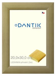 DANTIK rám na obraz 20x30 | LEDVINKA přírodní (Sklo Čiré)