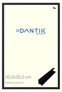 DANTIK rám na obraz 20x30 | ALU Černá matná (Sklo Čiré)
