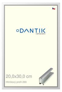 DANTIK rám na obraz 20x30 | ALU Stříbrná lesklá (Sklo Čiré)