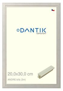 DANTIK rám na obraz 20x30 | ANDRE Bílá (Sklo Čiré)