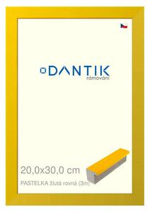 DANTIK rám na obraz 20x30 | PASTELKA žlutá rovná (Sklo Čiré)