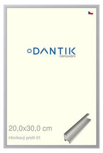 DANTIK rám na obraz 20x30 | ALU Stříbrná matná (Sklo Čiré)