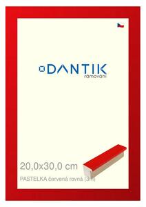 DANTIK rám na obraz 20x30 | PASTELKA červená rovná (Sklo Čiré)