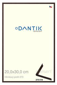 DANTIK rám na obraz 20x30 | ALU Dýha wenge tmavá (Sklo Čiré)