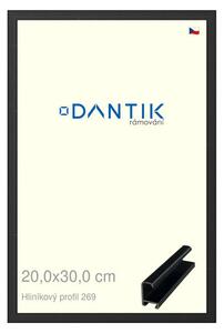DANTIK rám na obraz 20x30 | ALU Černá matná (Sklo Čiré)