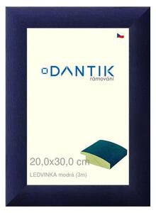 DANTIK rám na obraz 20x30 | LEDVINKA modrá (Sklo Čiré)