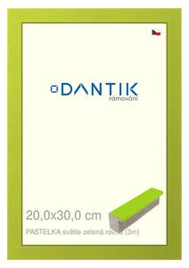 DANTIK rám na obraz 20x30 | PASTELKA světlezelená rovná (Sklo Čiré)
