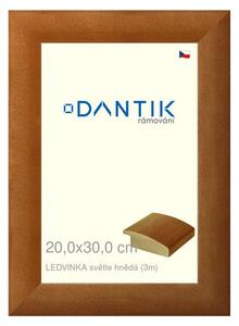 DANTIK rám na obraz 20x30 | LEDVINKA světle hnědá (Sklo Čiré)