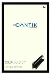 DANTIK rám na obraz 20x30 | ALU Černá lesklá (Sklo Čiré)