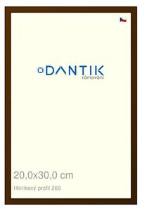 DANTIK rám na obraz 20x30 | ALU Hnědá umbra broušená (Sklo Čiré)