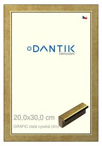 DANTIK rám na obraz 20x30 | GRAFIC zlatá vysoká (Sklo Čiré)