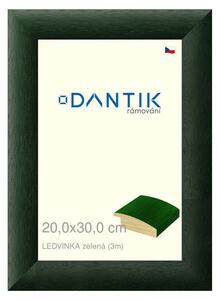 DANTIK rám na obraz 20x30 | LEDVINKA zelená (Sklo Čiré)