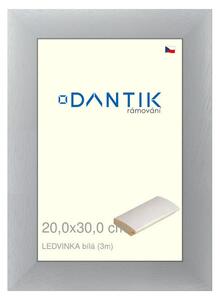 DANTIK rám na obraz 20x30 | LEDVINKA bílá (Sklo Čiré)