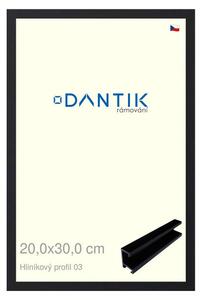 DANTIK rám na obraz 20x30 | ALU Černá matná (Sklo Čiré)