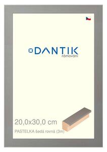 DANTIK rám na obraz 20x30 | PASTELKA šedá rovná (Sklo Čiré)