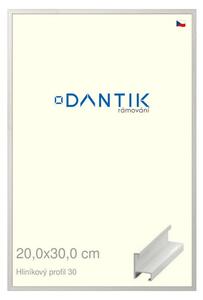 DANTIK rám na obraz 20x30 | ALU Dýha bílá (Sklo Čiré)