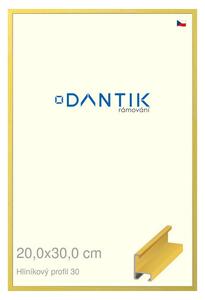 DANTIK rám na obraz 20x30 | ALU Dýha barevná žlutá citrus (Sklo Čiré)