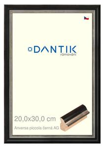 DANTIK rám na obraz 20x30 | ANIVERSA piccola černá AG (Sklo Čiré)