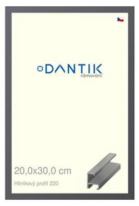 DANTIK rám na obraz 20x30 | ALU Ocelová (Sklo Čiré)