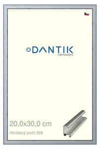 DANTIK rám na obraz 20x30 | ALU Sstříbrná broušená (Sklo Čiré)